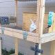 Build a Safe DIY Outdoor Bunny Hutch: Plans & Tips | The DIY Hub: Creative Crafts, Repairs & Life Hacks