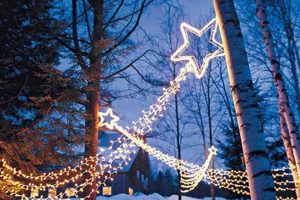 Easy DIY Outdoor Christmas Lights Ideas + Tips | The DIY Hub: Creative Crafts, Repairs & Life Hacks