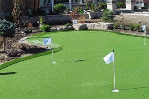 Backyard DIY: Home Putting Green Guide for Golfers | The DIY Hub: Creative Crafts, Repairs & Life Hacks