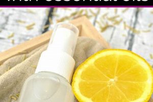 Natural DIY Bug Spray: Essential Oils for Your Body The DIY Hub: Creative Crafts, Repairs & Life Hacks Natural DIY Bug Spray: Essential Oils for Your Body | The DIY Hub: Creative Crafts, Repairs & Life Hacks