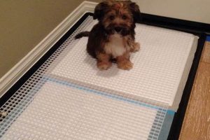 DIY Dog Potty Tray: Build Your Own Indoor Solution The DIY Hub: Creative Crafts, Repairs & Life Hacks DIY Dog Potty Tray: Build Your Own Indoor Solution | The DIY Hub: Creative Crafts, Repairs & Life Hacks
