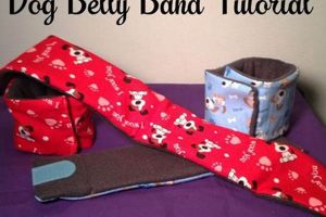 Easy DIY Belly Band for Small Dogs: A Simple Guide The DIY Hub: Creative Crafts, Repairs & Life Hacks Easy DIY Belly Band for Small Dogs: A Simple Guide | The DIY Hub: Creative Crafts, Repairs & Life Hacks