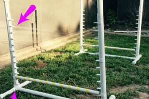 Easy DIY Dog Agility Jumps (Beginner-Friendly!) The DIY Hub: Creative Crafts, Repairs & Life Hacks Easy DIY Dog Agility Jumps (Beginner-Friendly!) | The DIY Hub: Creative Crafts, Repairs & Life Hacks