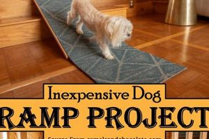 Build an Inexpensive DIY Dog Ramp: Easy Steps & Safety! The DIY Hub: Creative Crafts, Repairs & Life Hacks Build an Inexpensive DIY Dog Ramp: Easy Steps & Safety! | The DIY Hub: Creative Crafts, Repairs & Life Hacks