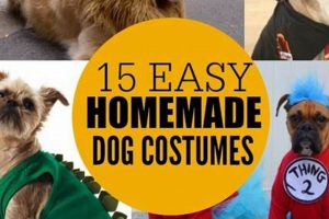 Cool & Easy DIY Dog Costume Ideas for Your Furry Friend The DIY Hub: Creative Crafts, Repairs & Life Hacks Cool & Easy DIY Dog Costume Ideas for Your Furry Friend | The DIY Hub: Creative Crafts, Repairs & Life Hacks