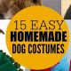Cool & Easy DIY Dog Costume Ideas for Your Furry Friend | The DIY Hub: Creative Crafts, Repairs & Life Hacks