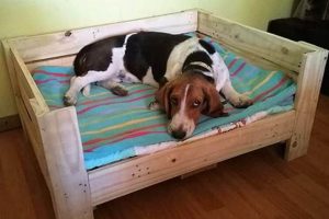Build a Wooden Dog Bed: DIY Plans & Ideas The DIY Hub: Creative Crafts, Repairs & Life Hacks Build a Wooden Dog Bed: DIY Plans & Ideas | The DIY Hub: Creative Crafts, Repairs & Life Hacks