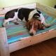 Build a Wooden Dog Bed: DIY Plans & Ideas | The DIY Hub: Creative Crafts, Repairs & Life Hacks