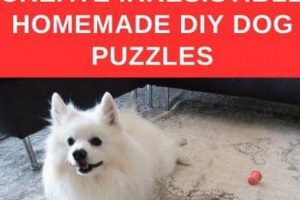Fun DIY Dog Puzzles: Build It Yourself! The DIY Hub: Creative Crafts, Repairs & Life Hacks Fun DIY Dog Puzzles: Build It Yourself! | The DIY Hub: Creative Crafts, Repairs & Life Hacks