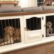 Easy DIY Dog Crate Furniture Ideas: Build a Cozy Home | The DIY Hub: Creative Crafts, Repairs & Life Hacks