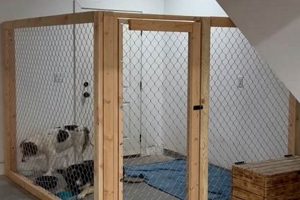 Budget Dog Kennels: DIY Cheap Kennel Ideas on a Dime The DIY Hub: Creative Crafts, Repairs & Life Hacks Budget Dog Kennels: DIY Cheap Kennel Ideas on a Dime | The DIY Hub: Creative Crafts, Repairs & Life Hacks
