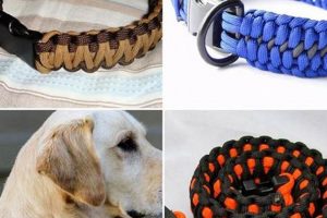 Easy DIY Paracord Dog Collar: A Stylish Guide! The DIY Hub: Creative Crafts, Repairs & Life Hacks Easy DIY Paracord Dog Collar: A Stylish Guide! | The DIY Hub: Creative Crafts, Repairs & Life Hacks