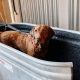 Build a DIY Dog Bath Tub: Projects & Ideas for Your Pup! | The DIY Hub: Creative Crafts, Repairs & Life Hacks