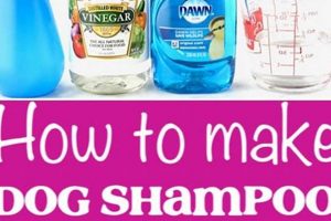 Best Dog Shampoo DIY Recipes: Gentle & Safe The DIY Hub: Creative Crafts, Repairs & Life Hacks Best Dog Shampoo DIY Recipes: Gentle & Safe | The DIY Hub: Creative Crafts, Repairs & Life Hacks