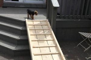 Easy DIY Dog Ramp for Stairs: Help Your Pup! The DIY Hub: Creative Crafts, Repairs & Life Hacks Easy DIY Dog Ramp for Stairs: Help Your Pup! | The DIY Hub: Creative Crafts, Repairs & Life Hacks