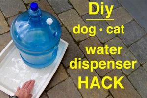 Easy DIY Dog Water Dispenser Ideas for Happy Paws The DIY Hub: Creative Crafts, Repairs & Life Hacks Easy DIY Dog Water Dispenser Ideas for Happy Paws | The DIY Hub: Creative Crafts, Repairs & Life Hacks