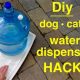 Easy DIY Dog Water Dispenser Ideas for Happy Paws | The DIY Hub: Creative Crafts, Repairs & Life Hacks