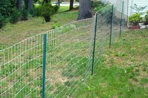 Affordable DIY Fence Ideas for Dogs: Safe & Secure The DIY Hub: Creative Crafts, Repairs & Life Hacks Affordable DIY Fence Ideas for Dogs: Safe & Secure | The DIY Hub: Creative Crafts, Repairs & Life Hacks