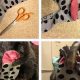 Easy DIY Dog Diapers: Save Money & Protect Your Home | The DIY Hub: Creative Crafts, Repairs & Life Hacks