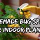 Easy DIY Insect Spray for Plants: Protect Your Garden | The DIY Hub: Creative Crafts, Repairs & Life Hacks