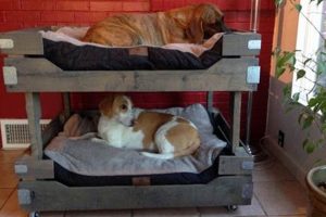 Build a Space-Saving DIY Dog Bunk Bed [Easy Guide] | The DIY Hub: Creative Crafts, Repairs & Life Hacks