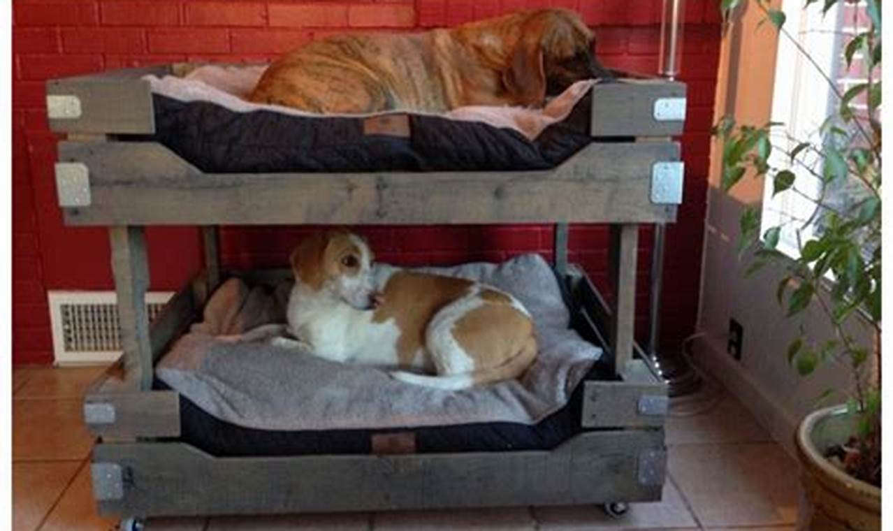 Illustration of Dog Crate Bunk Bed Designs