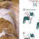 Easy DIY Thundershirt for Dogs: Calm Your Anxious Pup! | The DIY Hub: Creative Crafts, Repairs & Life Hacks