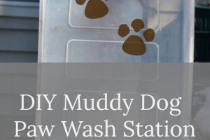 DIY Dog Wash: Muddy Paws & Clean Pups! The DIY Hub: Creative Crafts, Repairs & Life Hacks DIY Dog Wash: Muddy Paws & Clean Pups! | The DIY Hub: Creative Crafts, Repairs & Life Hacks