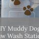 DIY Dog Wash: Muddy Paws & Clean Pups! | The DIY Hub: Creative Crafts, Repairs & Life Hacks