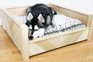 Easy DIY Wooden Dog Bed Plans + Designs The DIY Hub: Creative Crafts, Repairs & Life Hacks Easy DIY Wooden Dog Bed Plans + Designs | The DIY Hub: Creative Crafts, Repairs & Life Hacks