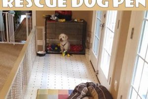 Build a DIY Dog Pen: Plans & Ideas for Pet Safety The DIY Hub: Creative Crafts, Repairs & Life Hacks Build a DIY Dog Pen: Plans & Ideas for Pet Safety | The DIY Hub: Creative Crafts, Repairs & Life Hacks