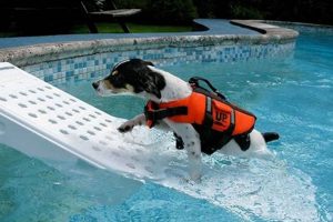Easy DIY Dog Boat Ramp Plans: Get Your Dog Aboard! The DIY Hub: Creative Crafts, Repairs & Life Hacks Easy DIY Dog Boat Ramp Plans: Get Your Dog Aboard! | The DIY Hub: Creative Crafts, Repairs & Life Hacks