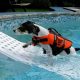 Easy DIY Dog Boat Ramp Plans: Get Your Dog Aboard! | The DIY Hub: Creative Crafts, Repairs & Life Hacks