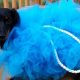 Easy DIY Dog Costumes: Fun, Safe, & Unique Dog Outfits | The DIY Hub: Creative Crafts, Repairs & Life Hacks
