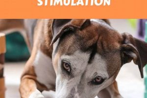 Easy DIY Dog Puzzle Games: Fun & Enrichment! The DIY Hub: Creative Crafts, Repairs & Life Hacks Easy DIY Dog Puzzle Games: Fun & Enrichment! | The DIY Hub: Creative Crafts, Repairs & Life Hacks