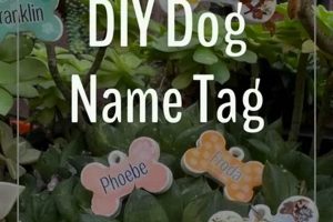 Create a DIY Dog Tag: Easy Personalized Tags The DIY Hub: Creative Crafts, Repairs & Life Hacks Create a DIY Dog Tag: Easy Personalized Tags | The DIY Hub: Creative Crafts, Repairs & Life Hacks