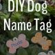 Create a DIY Dog Tag: Easy Personalized Tags | The DIY Hub: Creative Crafts, Repairs & Life Hacks