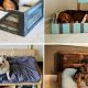 Easy DIY Dog Bedding Ideas: Create Comfort for Your Pup! | The DIY Hub: Creative Crafts, Repairs & Life Hacks