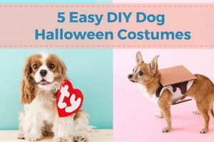 Easy DIY Dog Halloween Costumes: Spooktacular Ideas! The DIY Hub: Creative Crafts, Repairs & Life Hacks Easy DIY Dog Halloween Costumes: Spooktacular Ideas! | The DIY Hub: Creative Crafts, Repairs & Life Hacks