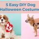 Easy DIY Dog Halloween Costumes: Spooktacular Ideas! | The DIY Hub: Creative Crafts, Repairs & Life Hacks