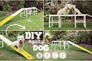 Build Your Own: Dog Agility Equipment DIY Guide The DIY Hub: Creative Crafts, Repairs & Life Hacks Build Your Own: Dog Agility Equipment DIY Guide | The DIY Hub: Creative Crafts, Repairs & Life Hacks