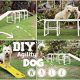 Build Your Own: Dog Agility Equipment DIY Guide | The DIY Hub: Creative Crafts, Repairs & Life Hacks