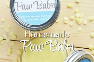 DIY Guide: Best Dog Paw Balm DIY Recipe Tips The DIY Hub: Creative Crafts, Repairs & Life Hacks DIY Guide: Best Dog Paw Balm DIY Recipe Tips | The DIY Hub: Creative Crafts, Repairs & Life Hacks
