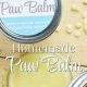 DIY Guide: Best Dog Paw Balm DIY Recipe Tips | The DIY Hub: Creative Crafts, Repairs & Life Hacks