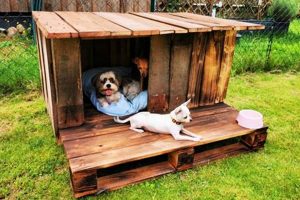 Build a Cozy DIY Pallet Dog House: Easy Steps! The DIY Hub: Creative Crafts, Repairs & Life Hacks Build a Cozy DIY Pallet Dog House: Easy Steps! | The DIY Hub: Creative Crafts, Repairs & Life Hacks