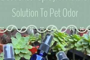Easy DIY Dog Deodorizer: Fresh Smells Naturally! The DIY Hub: Creative Crafts, Repairs & Life Hacks Easy DIY Dog Deodorizer: Fresh Smells Naturally! | The DIY Hub: Creative Crafts, Repairs & Life Hacks