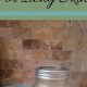 DIY Relief: Dog Shampoo for Itchy Skin Recipes | The DIY Hub: Creative Crafts, Repairs & Life Hacks
