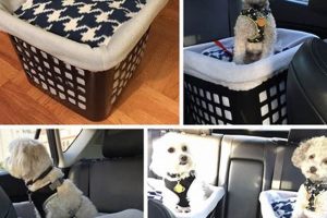 Build a Safe DIY Dog Car Seat: Guide & Tips The DIY Hub: Creative Crafts, Repairs & Life Hacks Build a Safe DIY Dog Car Seat: Guide & Tips | The DIY Hub: Creative Crafts, Repairs & Life Hacks