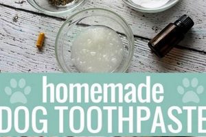 Best DIY Dog Toothpaste: Natural & Easy Recipes The DIY Hub: Creative Crafts, Repairs & Life Hacks Best DIY Dog Toothpaste: Natural & Easy Recipes | The DIY Hub: Creative Crafts, Repairs & Life Hacks