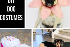 Easy DIY Dog Costume Ideas: Dress Your Pup in Style! The DIY Hub: Creative Crafts, Repairs & Life Hacks Easy DIY Dog Costume Ideas: Dress Your Pup in Style! | The DIY Hub: Creative Crafts, Repairs & Life Hacks